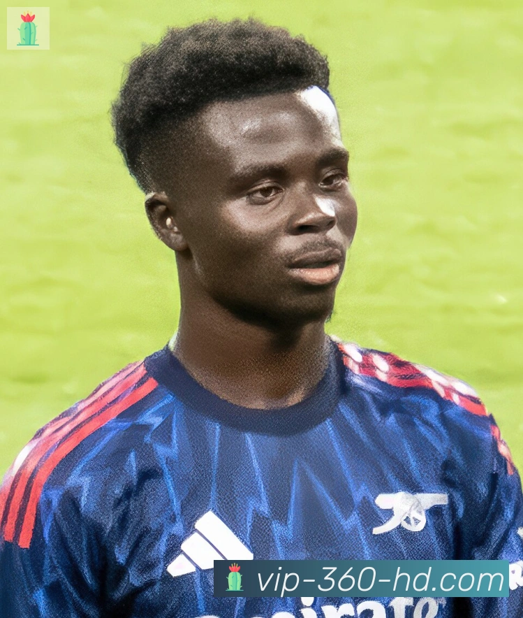 维尼修斯